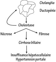 propbc_figure2.jpg propbc_figure2.jpg