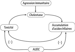 propbc_figure3.jpg propbc_figure3.jpg