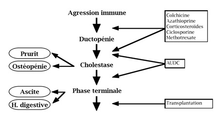 propbc_figure4.jpg propbc_figure4.jpg