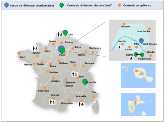 Centres de référence maladies rares du foie 2017